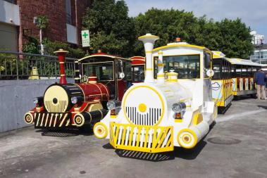 场地用电动观光列车Electric sightseeing train for the venue